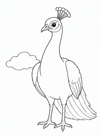 Pavão frontal: desenho para colorir