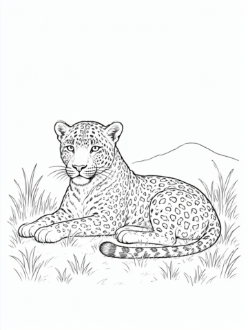 Leopardo tranquilo desenho para colorir